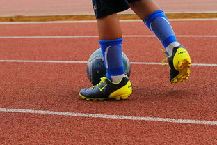 MILAN体育-牙买加打造国际运动新品牌，牙买加运动项目